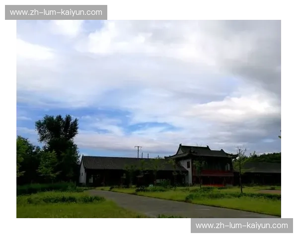 开云：在雾中绽放的品牌之光